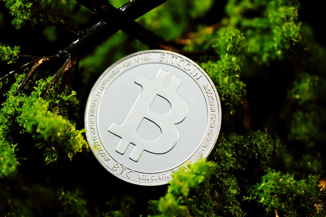 Crypto Back Green? Bitcoin Rebounds as Sentiment Improves