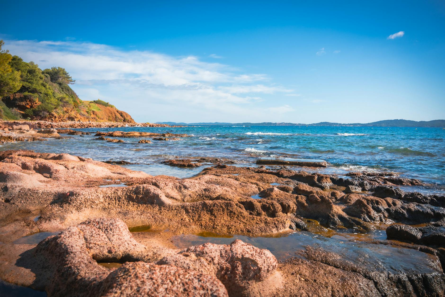 D-Wave Quantum Stock Popped: Thursday Morning Rally Explained