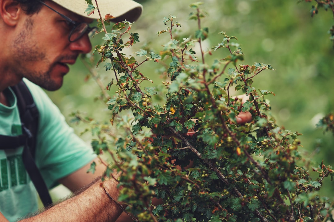 Dave Stock After Hedge: Is It a Buy After Divisadero Stake?