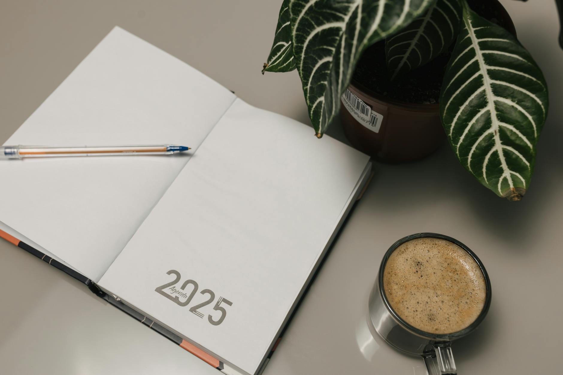 Deft 2025 Earnings Transcript: Q4 Deep Dive for Investors