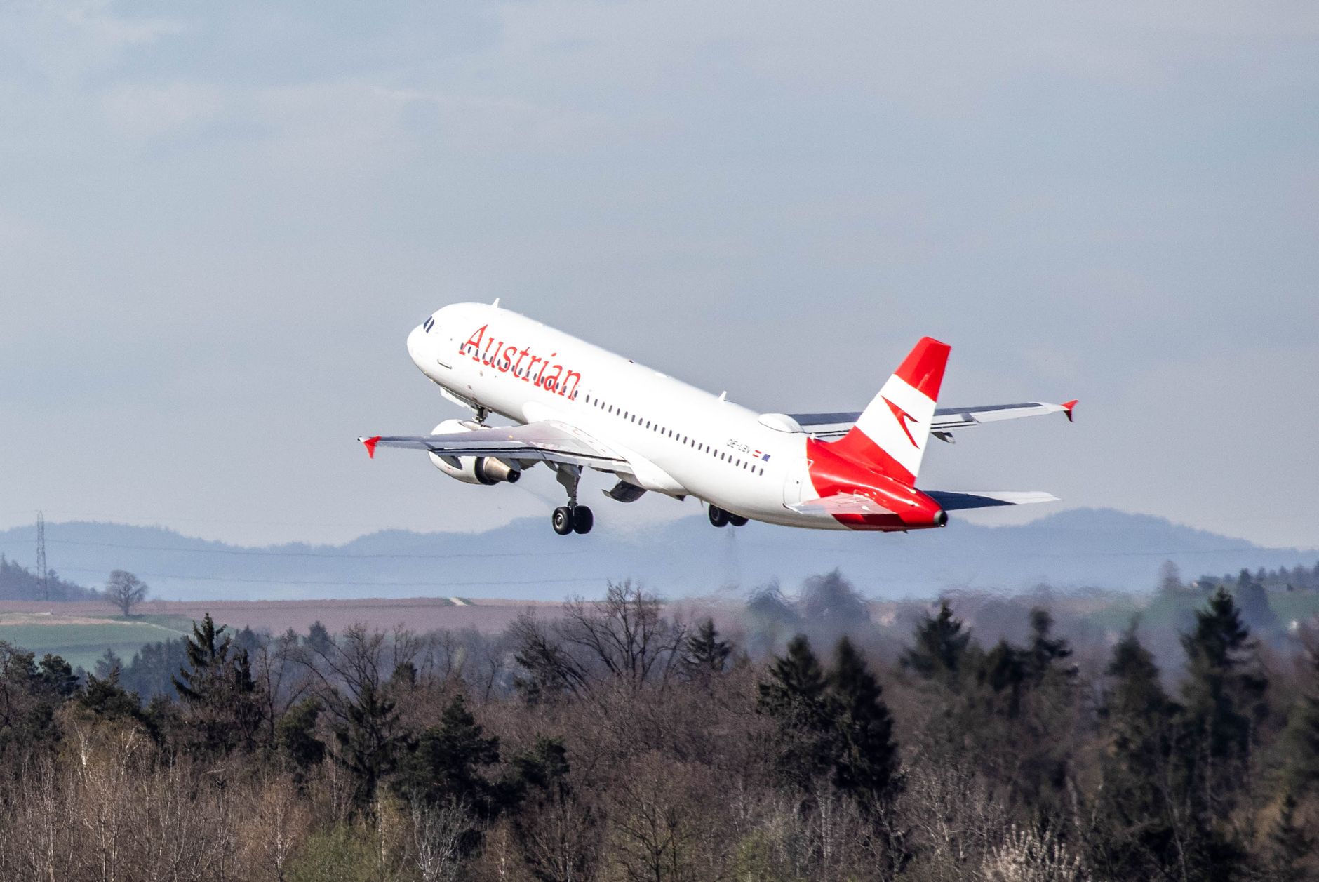 Dividend Safety Check: Austrian EWO Payout Risk Amid Banks