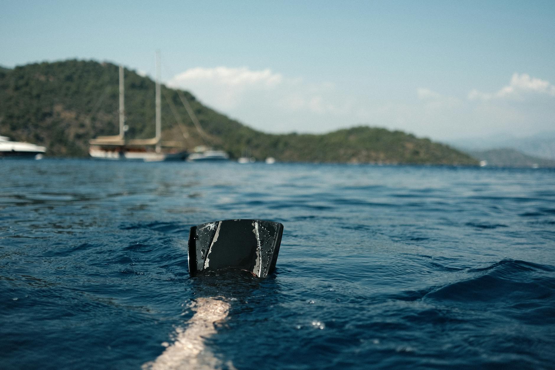 Diving Into Josh D'Amaro's Whole New World of Investing