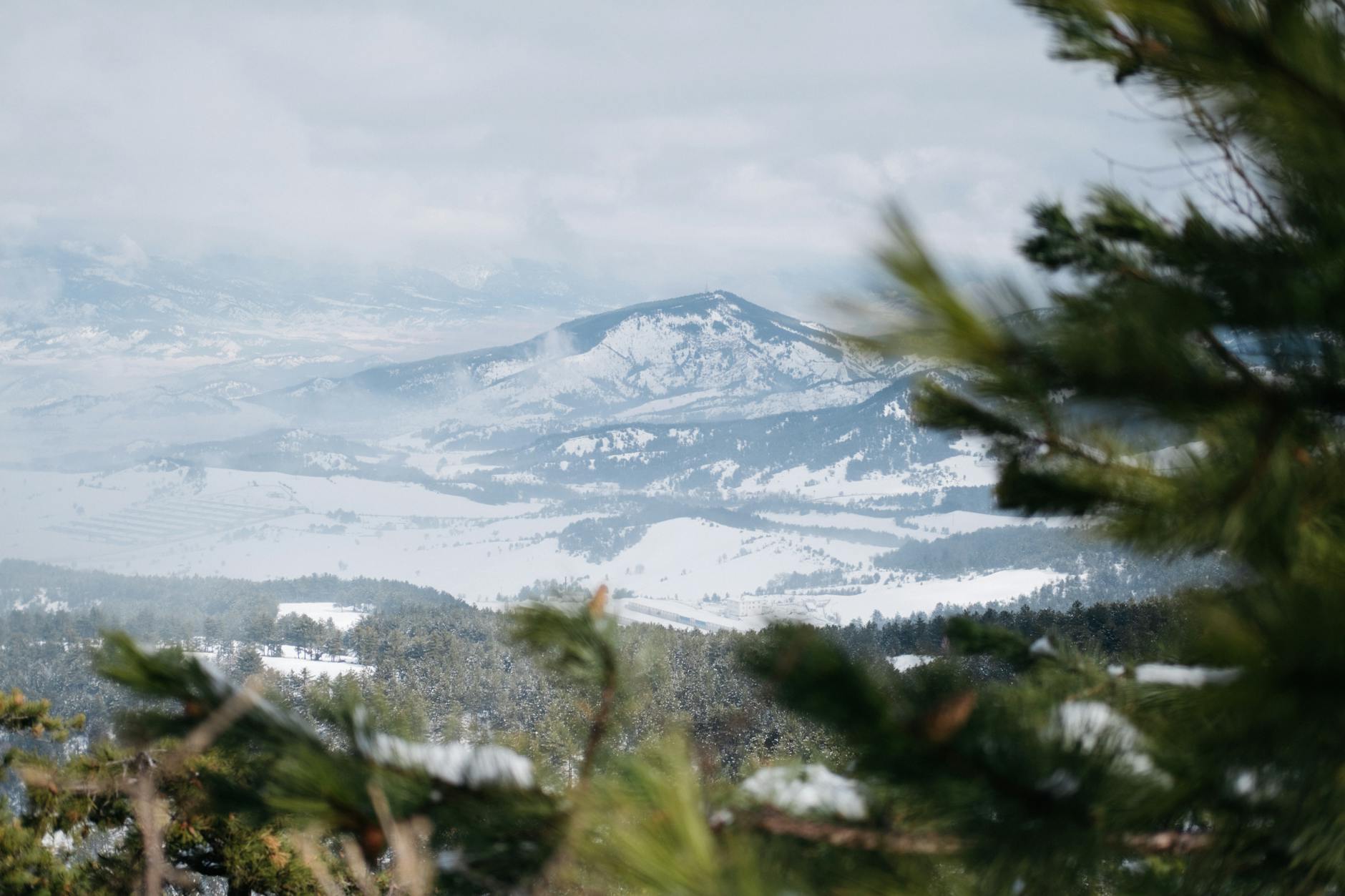 Duolingo Stock Fell January: A Practical Investor Guide