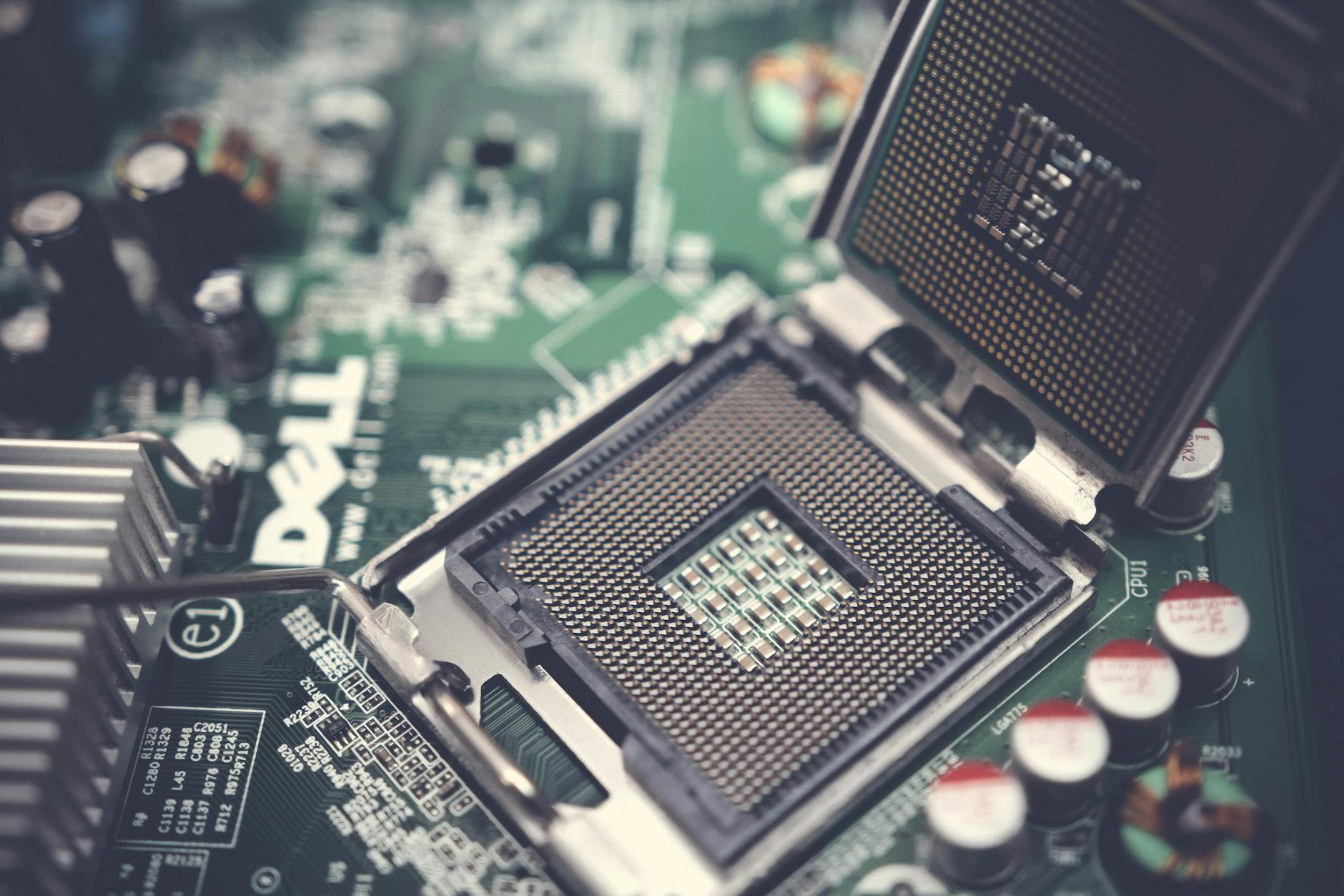 Elon Musk, Chip Giant? Investing in the Tech Battle