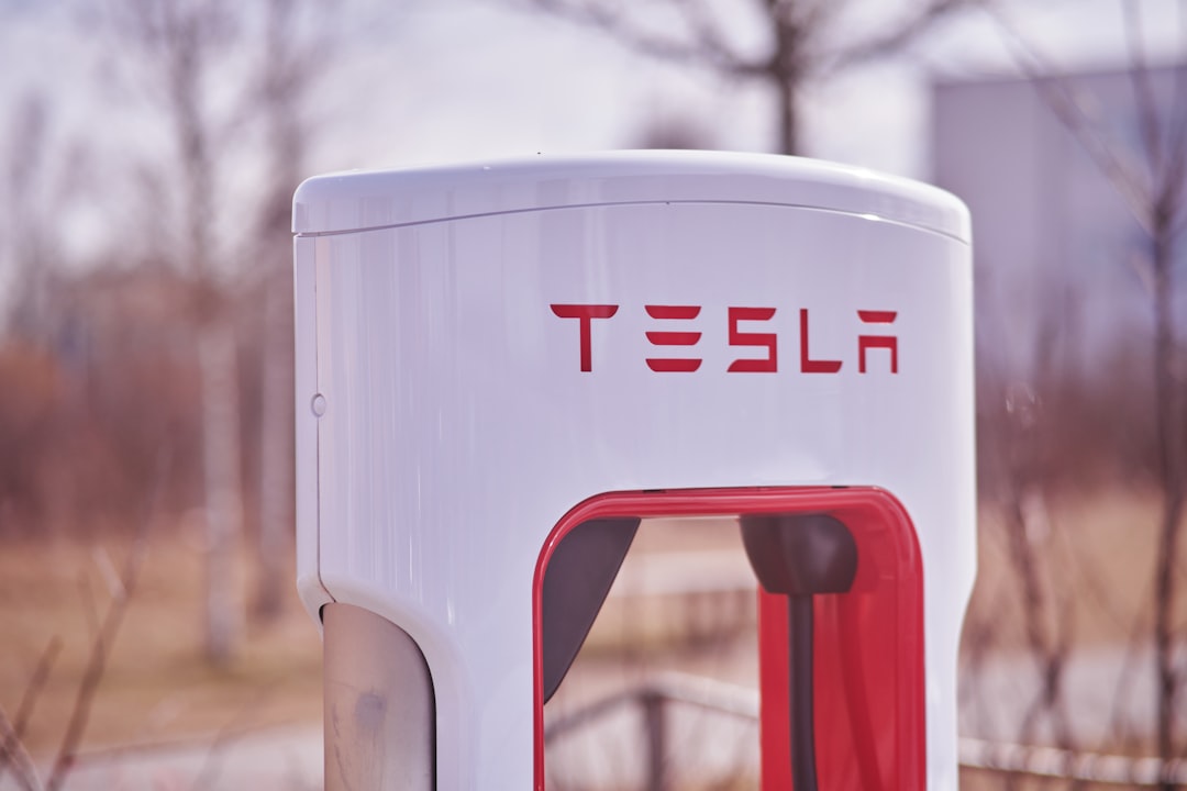 Elon Musk Makes Bold Predictions for SpaceX Growth Ahead
