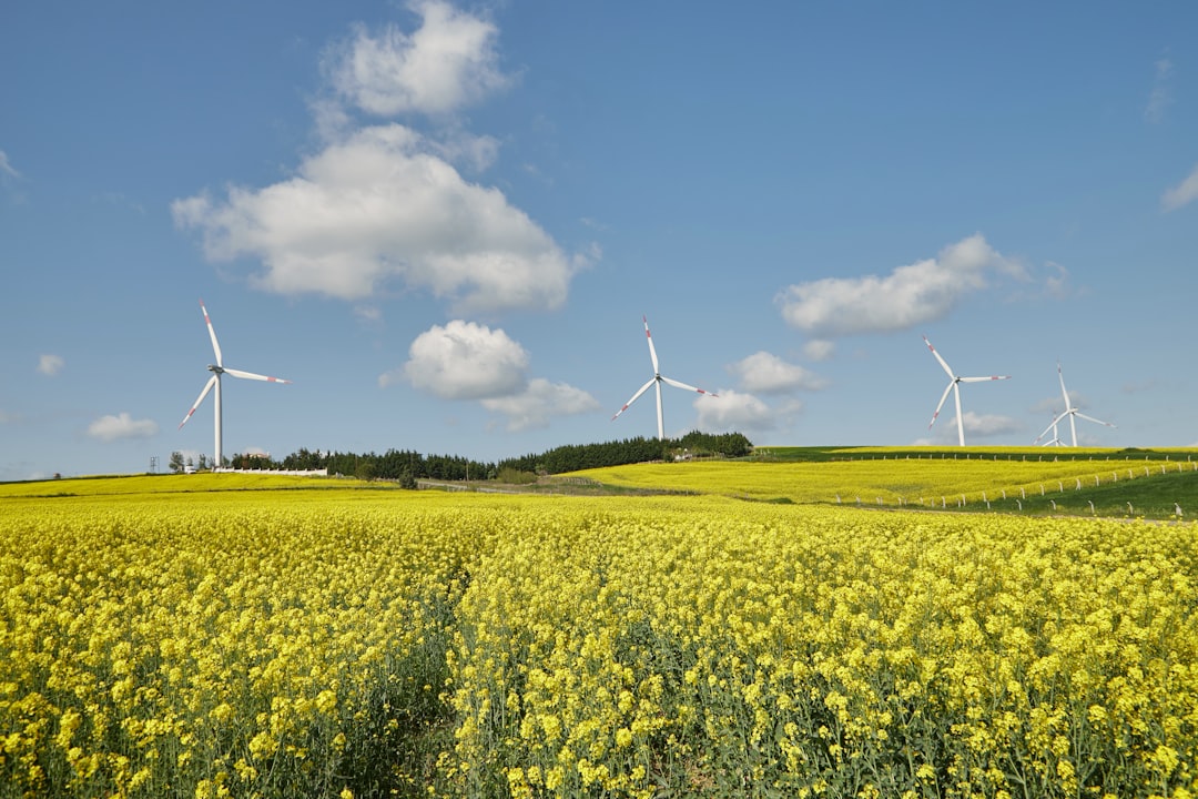 Energy Needs Sending Bloom Energy Stock Soaring Today