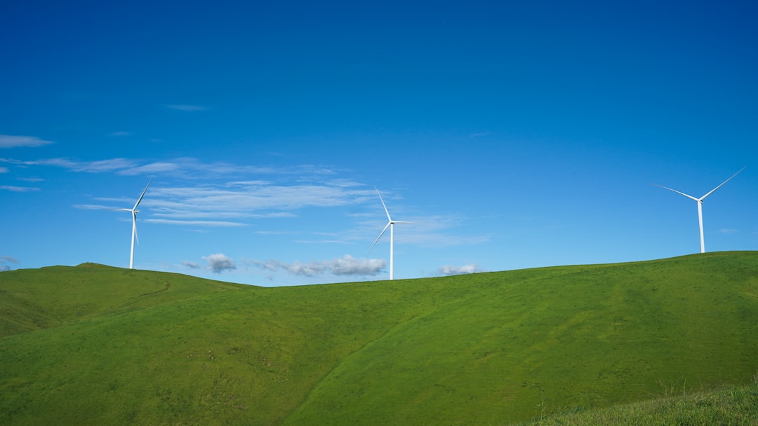 Energy Stocks Worth Holding: Three Long-Term Picks for Ten Years