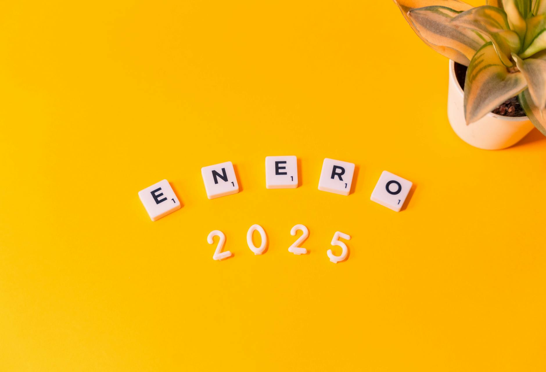 Everus (ECG) 2026 Earnings Outlook for Investors and Beyond