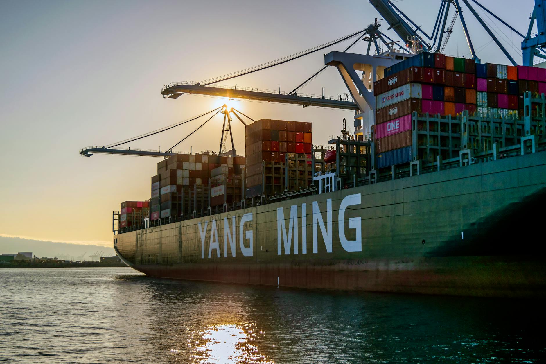 Everyone Talking About Trade: Trade Desk Stock Deep Dive