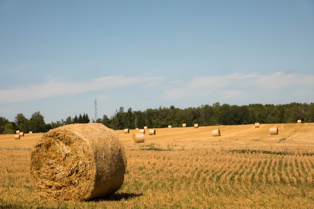 Farmland Partners (FPI) Earnings: A Practical Investor Guide
