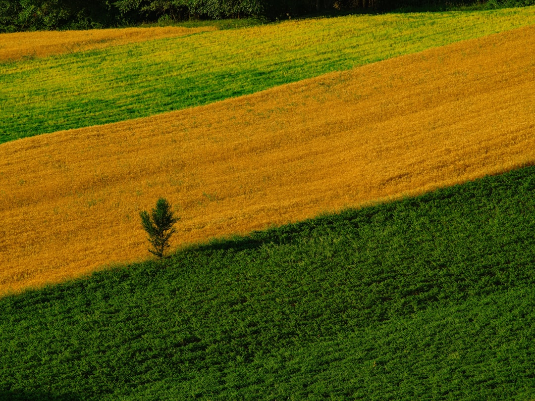 Fastest Decision Wins in Land Acquisition for Loans
