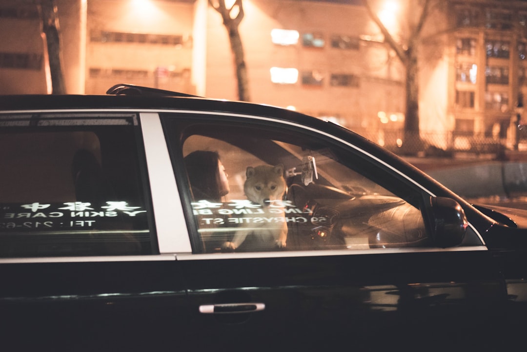 Fear Driving Stock Market: The One Move Investors Need