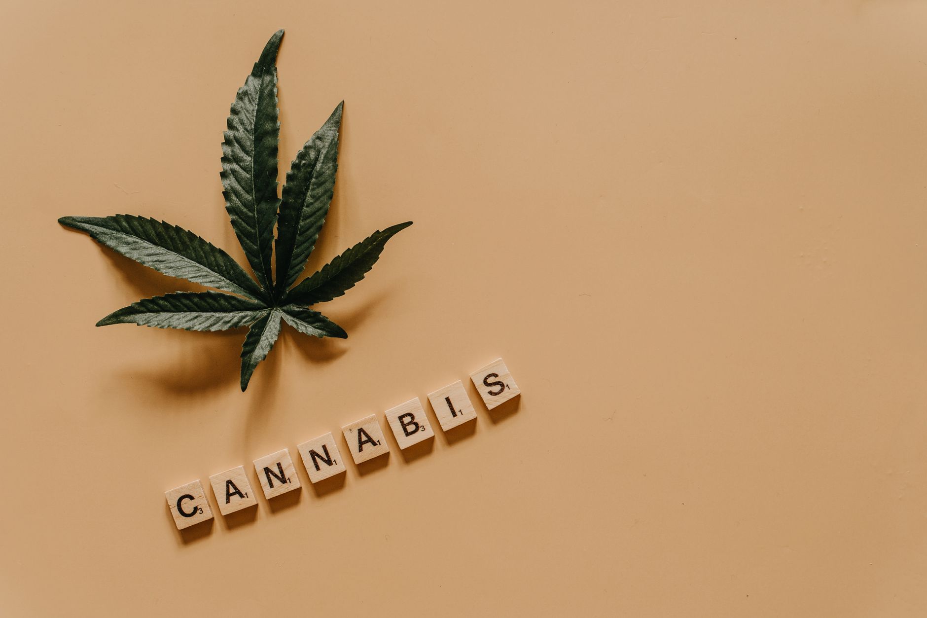 First U.S. Marijuana Stock Hits NYSE: What It Means