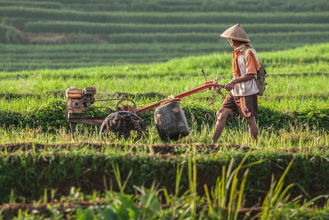 Food Prices Could Jump Soon as Fertilizer Crisis Worsens