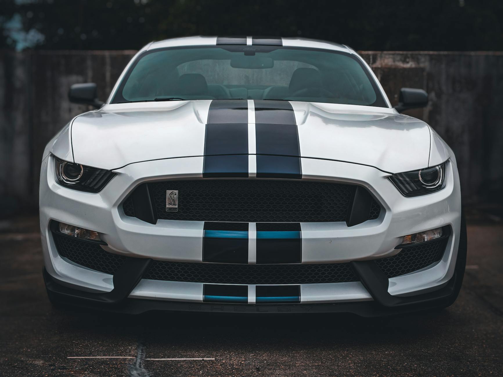 Ford Stock Raced 52-Week High: What Investors Should Know