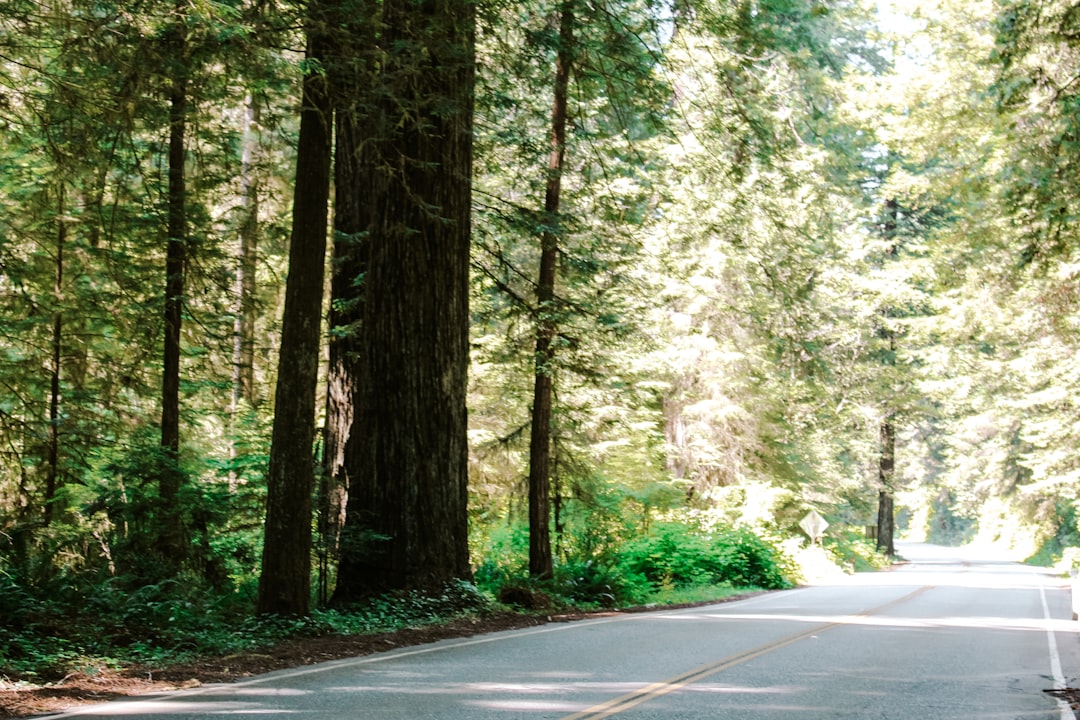 Forest Avenue Capital Adds to Par Pacific Stake: A Deep Dive