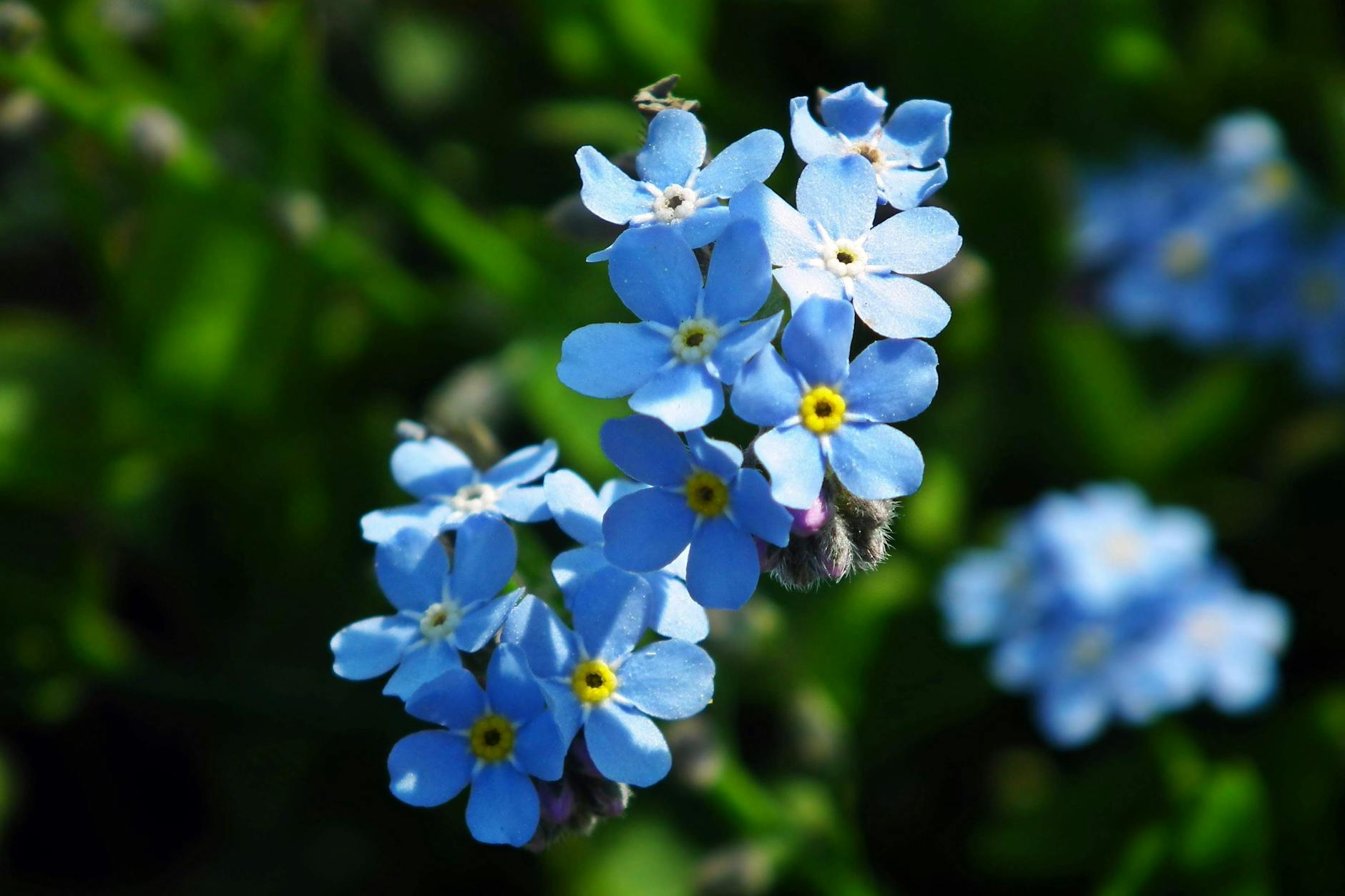 Forget D-Wave Quantum: This Cloud Leader Monetizes Quantum