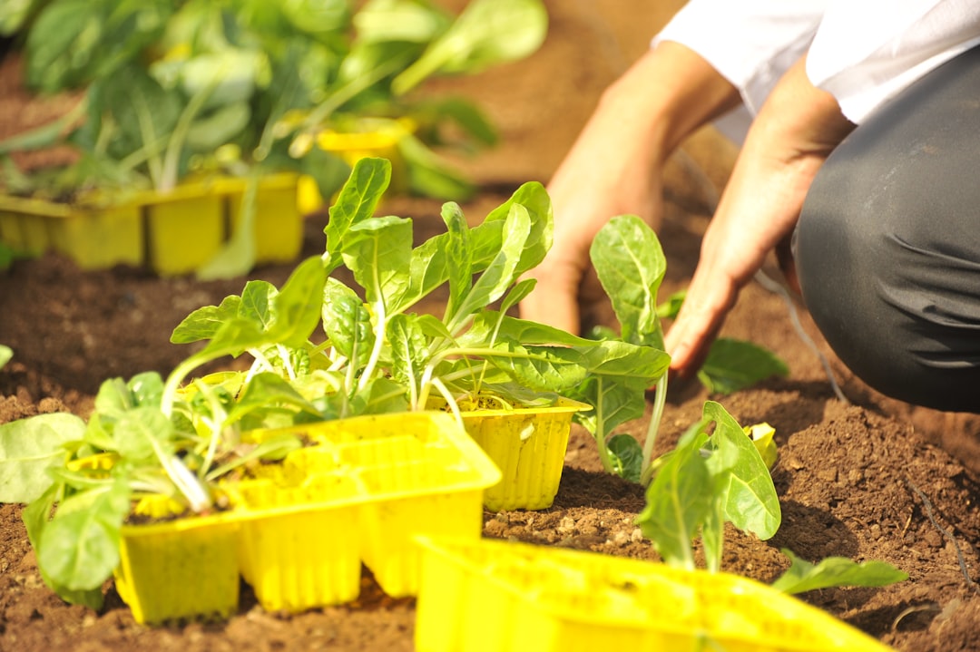 Garden Investment Adds Large Stake in Middleby Ahead SpinOff