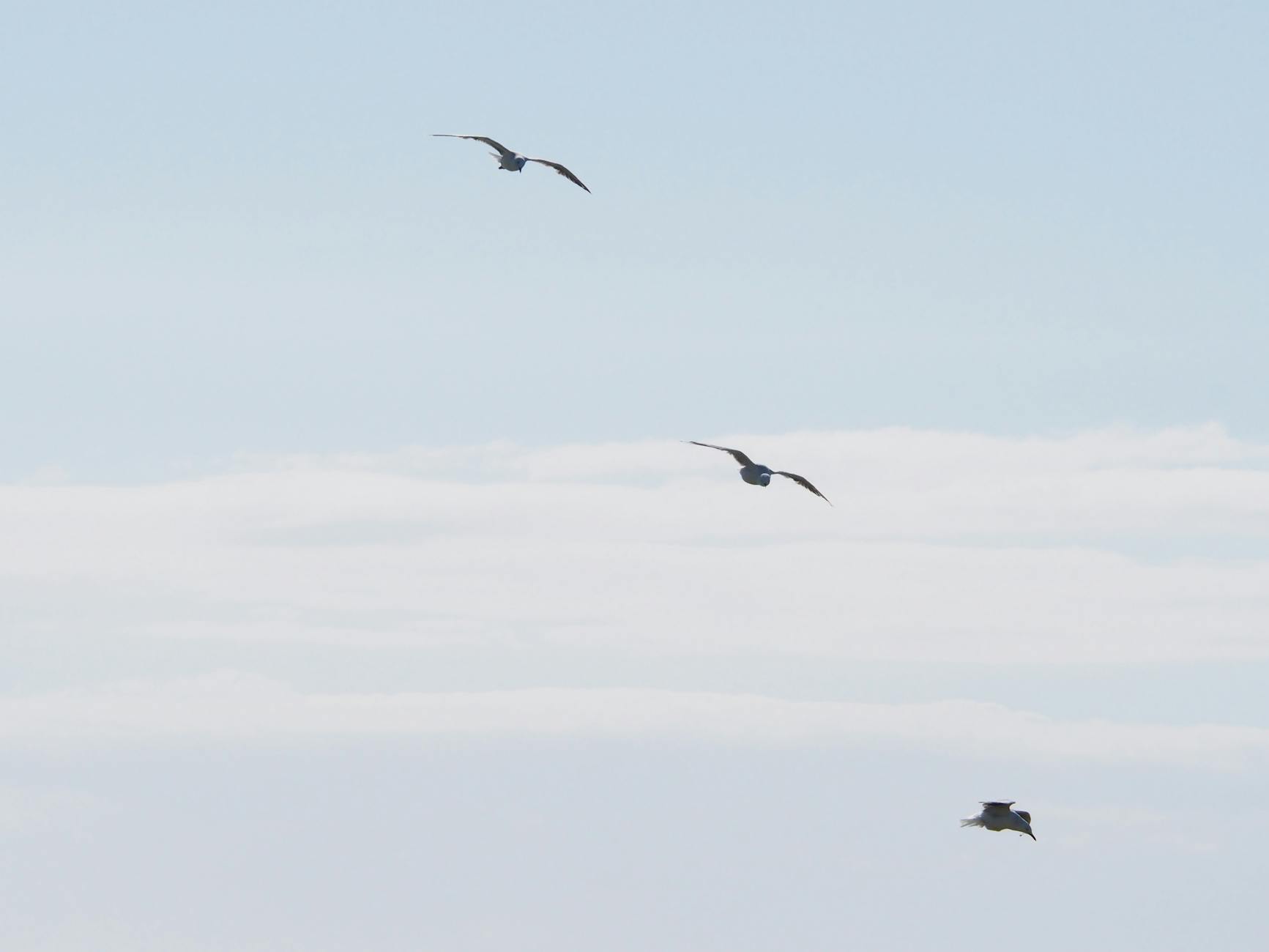 GLD Offers Smoother Ride Than SLV Over the Last 10 Years