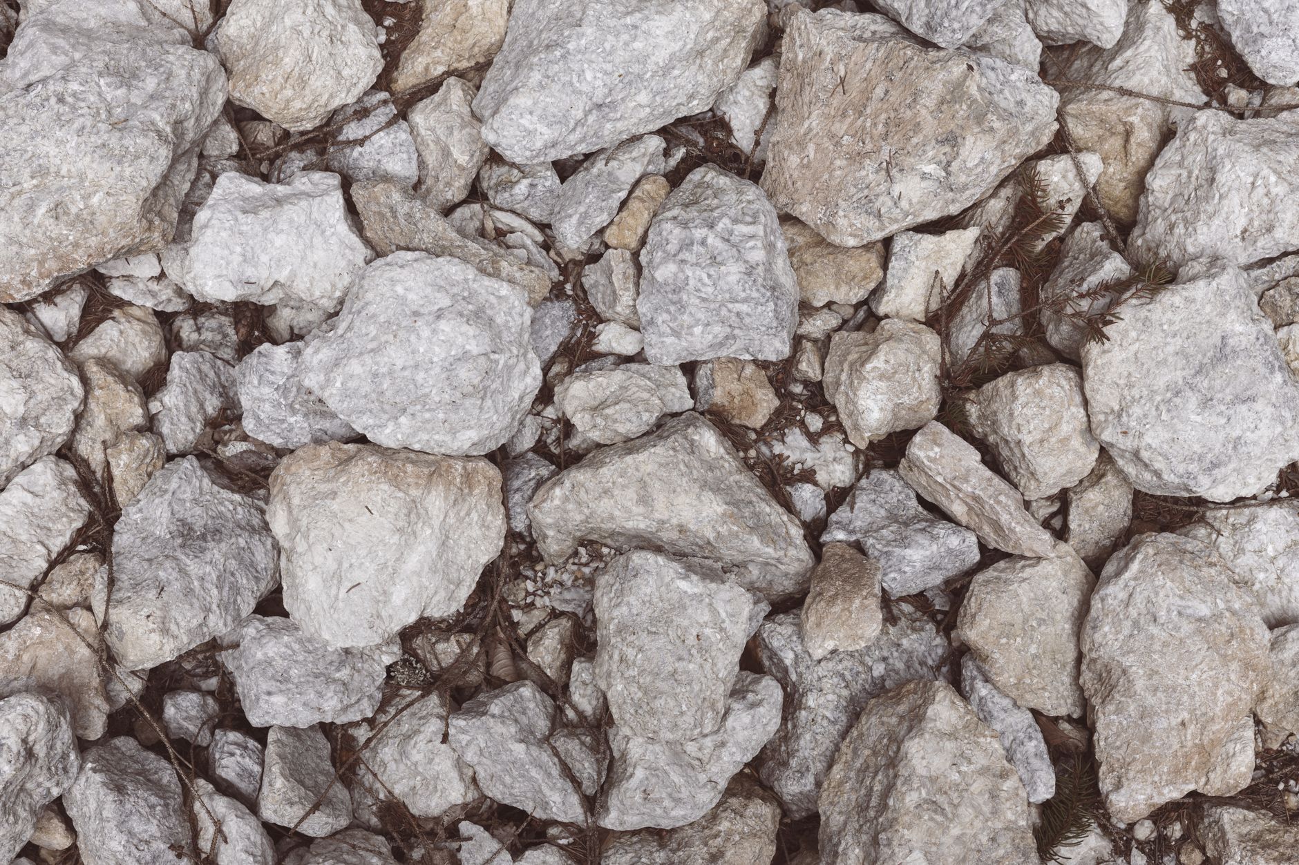 Gold Miners vs Silver Miners: Which ETF Is Best Now