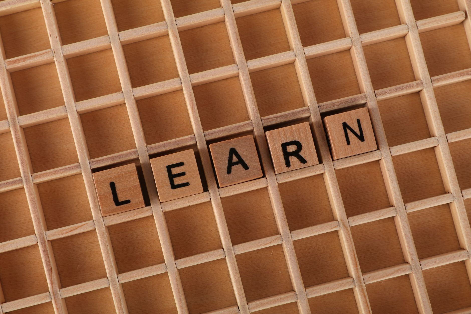 Google Parent Alphabet Abandoned: What Investors Should Do