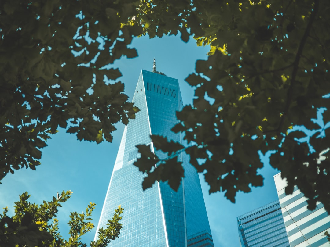 Growth Stocks Hold Next: 5-Year Path for Compounders