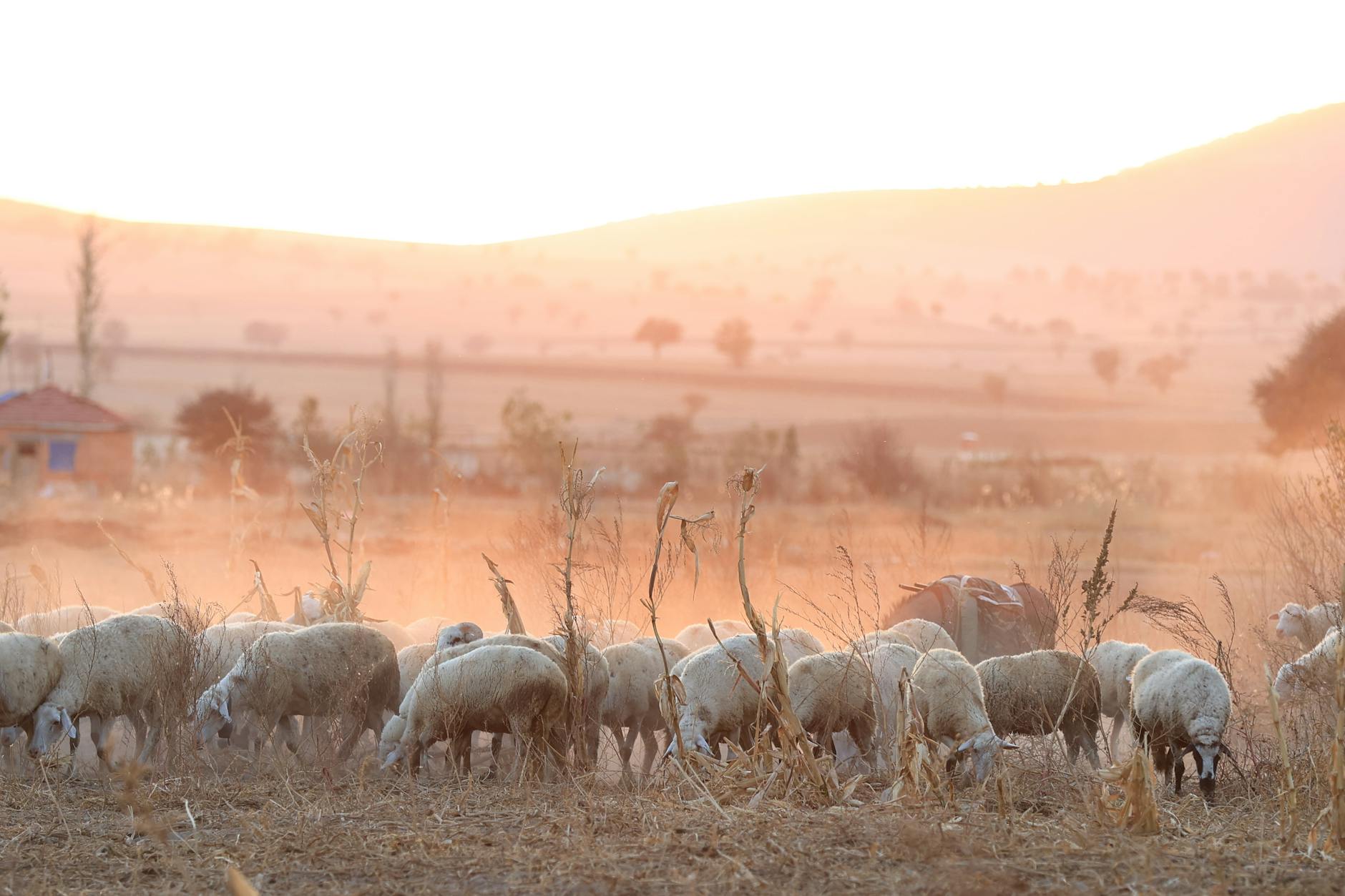 Have Until 2031: What Happens to Loans and Housing