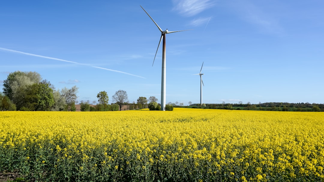 Here's Bloom Energy Stock Rally: What Investors Need to Know