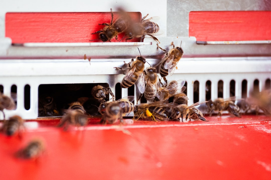 Hive Reports 158% Jump in Revenue as BTC Holdings Fall