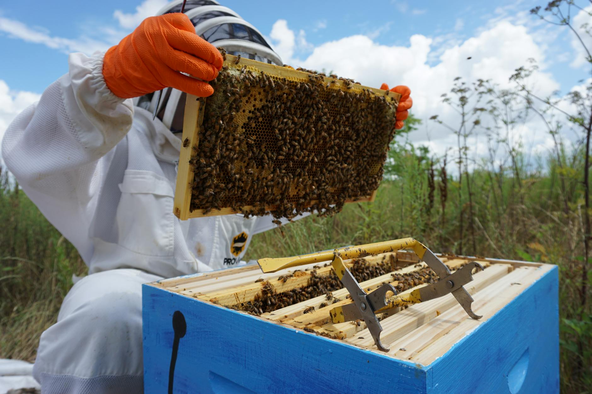 Hive Sells 215,000 Shares: Investor Takeaways Today
