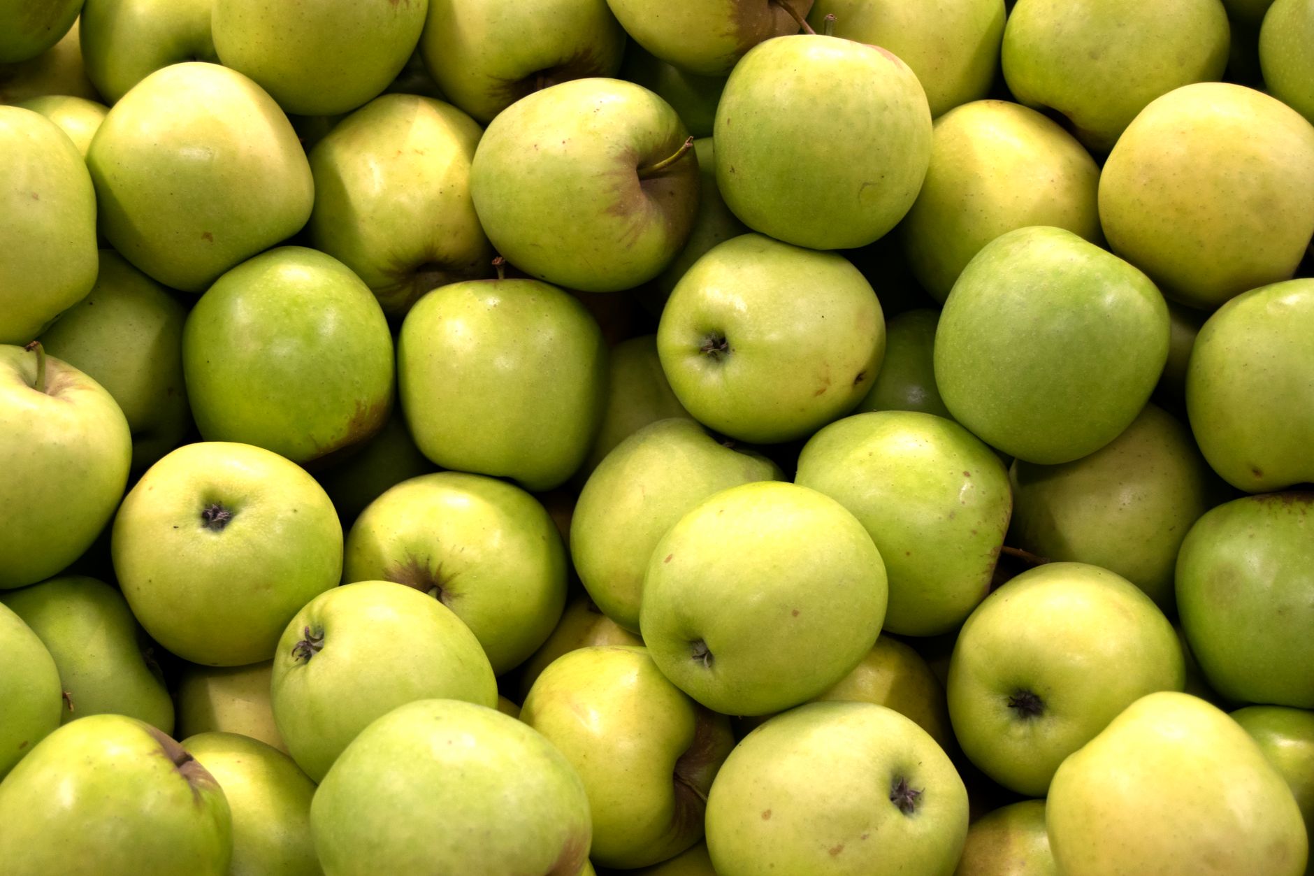 How a Fake Apple Pop-Up Led to a $20,000 Cash Send