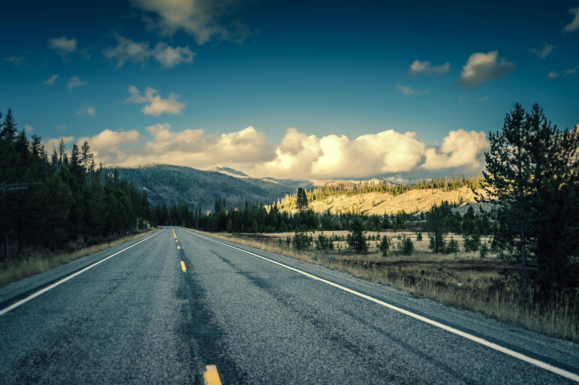 Idaho’s Intermountain Taps Tech-Focused Leader as CEO