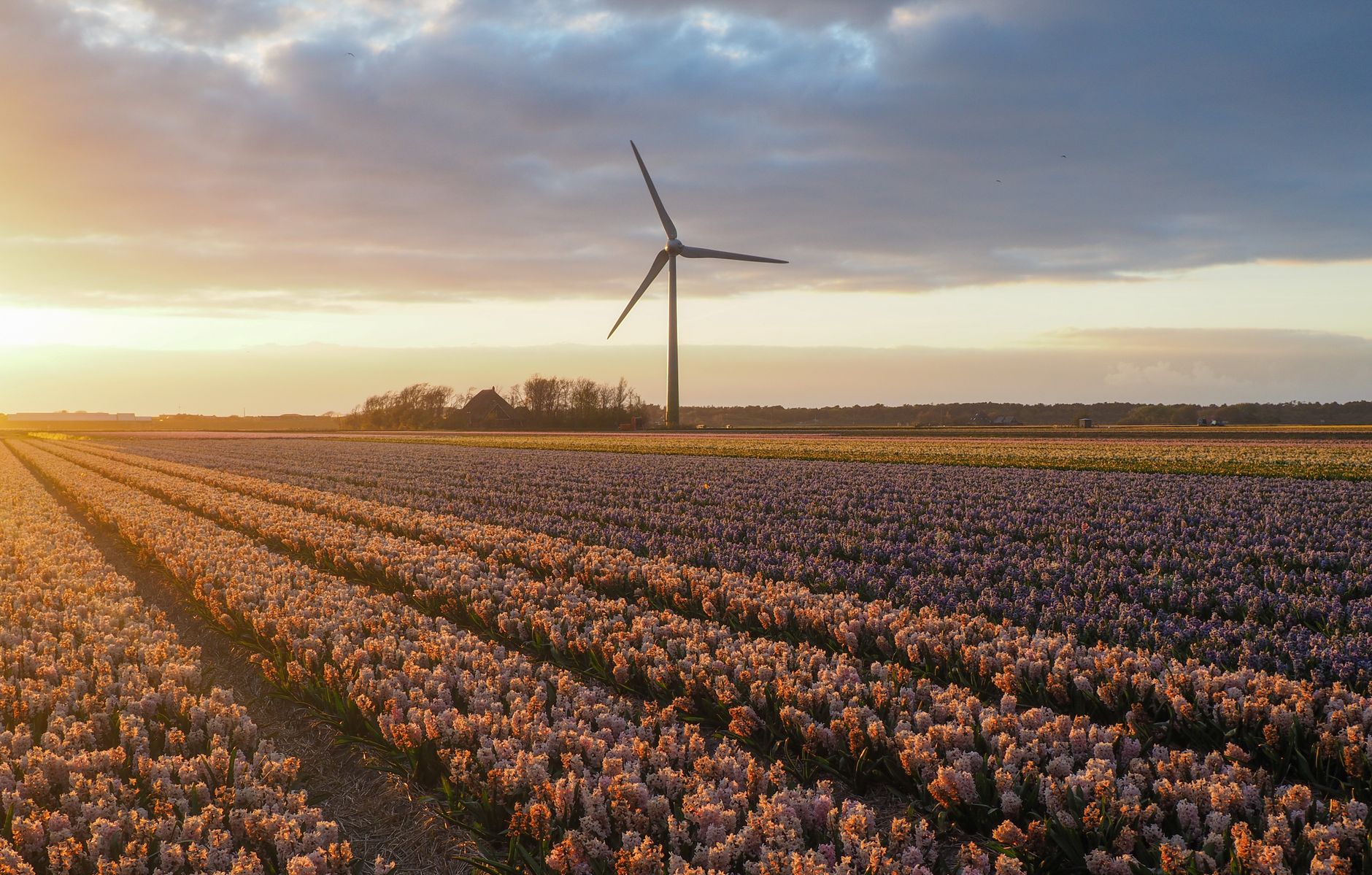 Invested $5,000 Bloom Energy: Now Worth and Next Steps