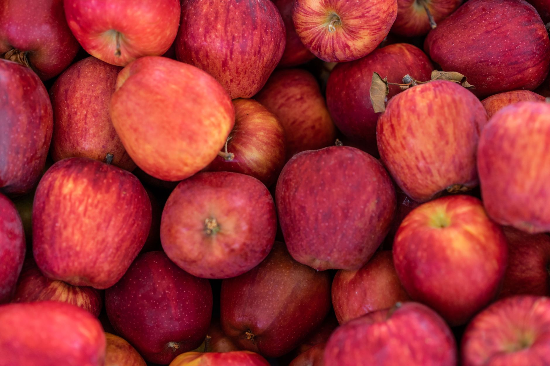 Is Apple Stock After Recent Pullback a Buy? History Data