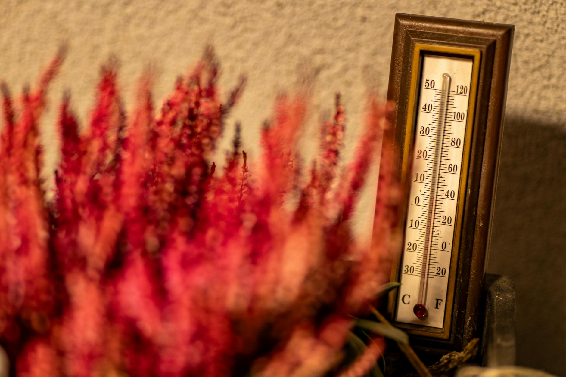 Is Celsius Stock After Falling a Buy? A Pragmatic Guide