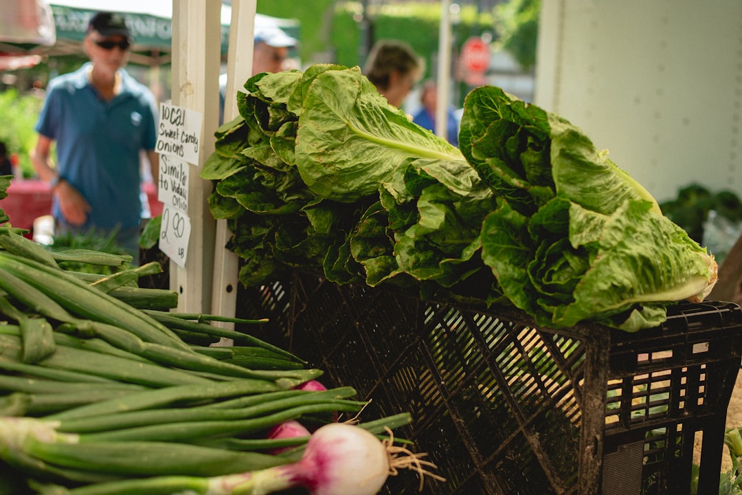 Is Green Thumb Stock Oversold? The Case for 100% Upside
