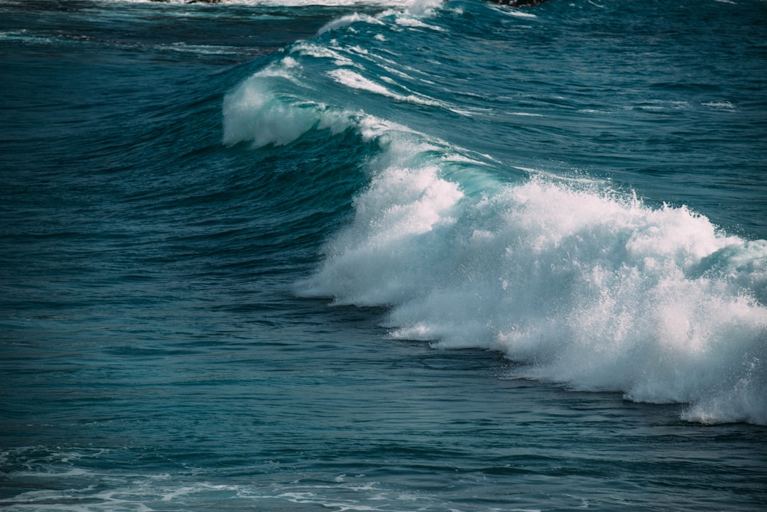 Is the AI Trade Entering Its Second Wave? ETF Beneficiary