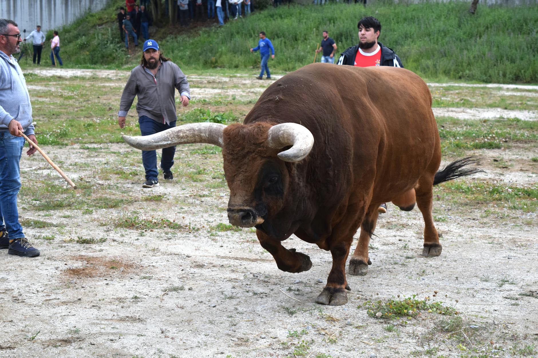 Is the Trump Bull Market Running on Fumes? Money Trail Clues