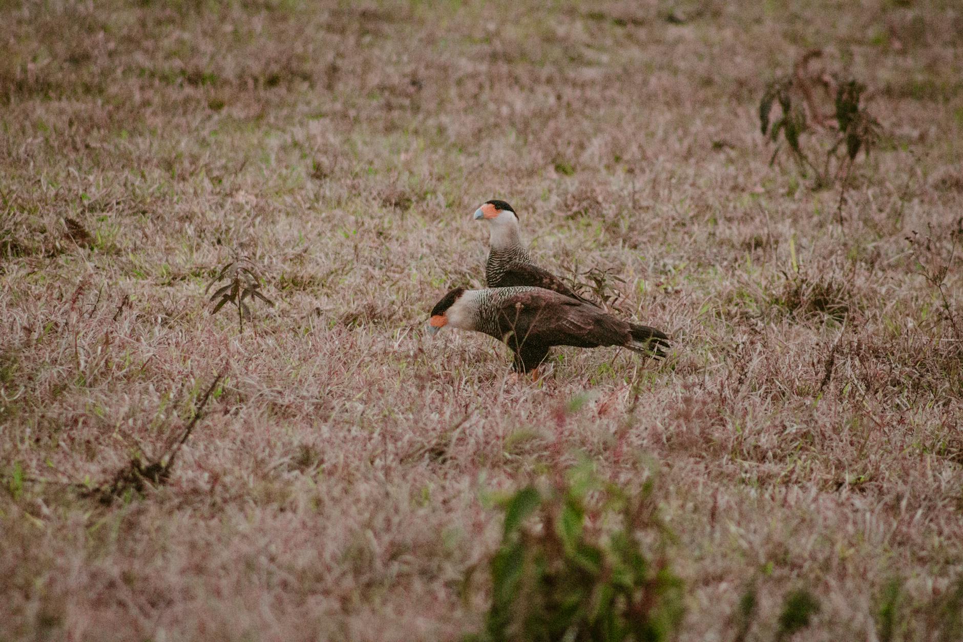 James Beek Eric Dane: Hollywood Grief GoFundMe Playbook