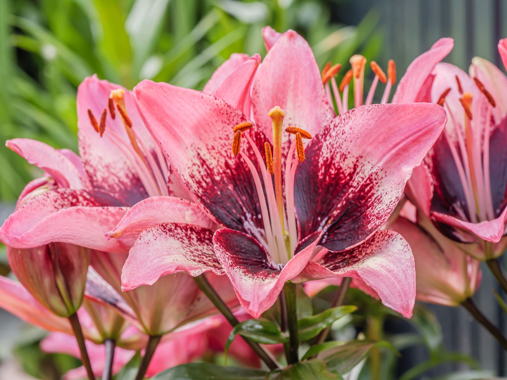 Late Lilly Stock? Here's What $1,000 Could Become in 10 Years