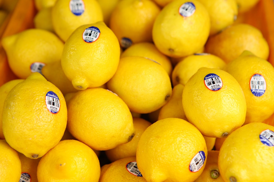 Lemonade's Improving Loss Ratio Is the Real Story Today