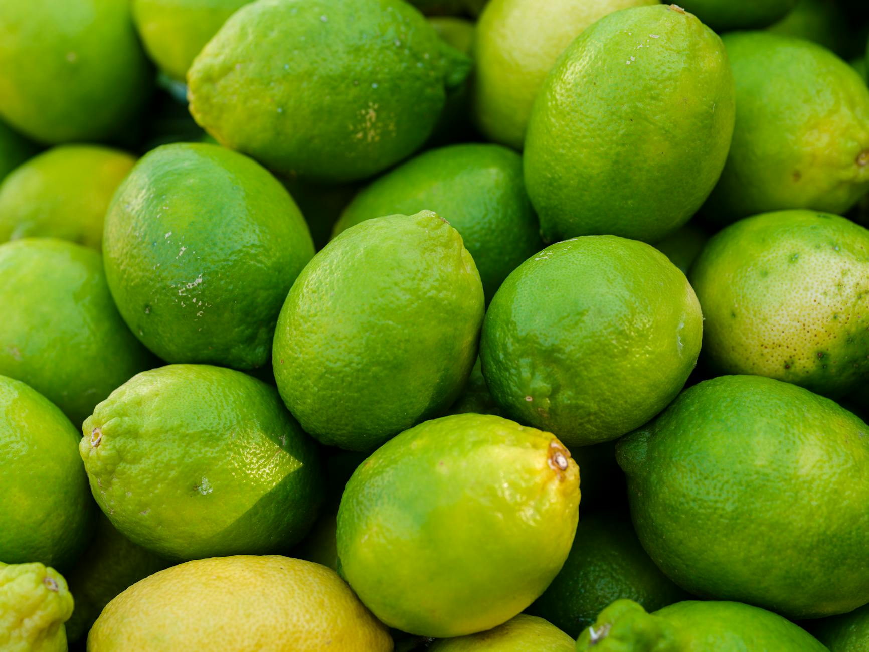 Lime Filed This Stock: Consider This Safer Pick Today