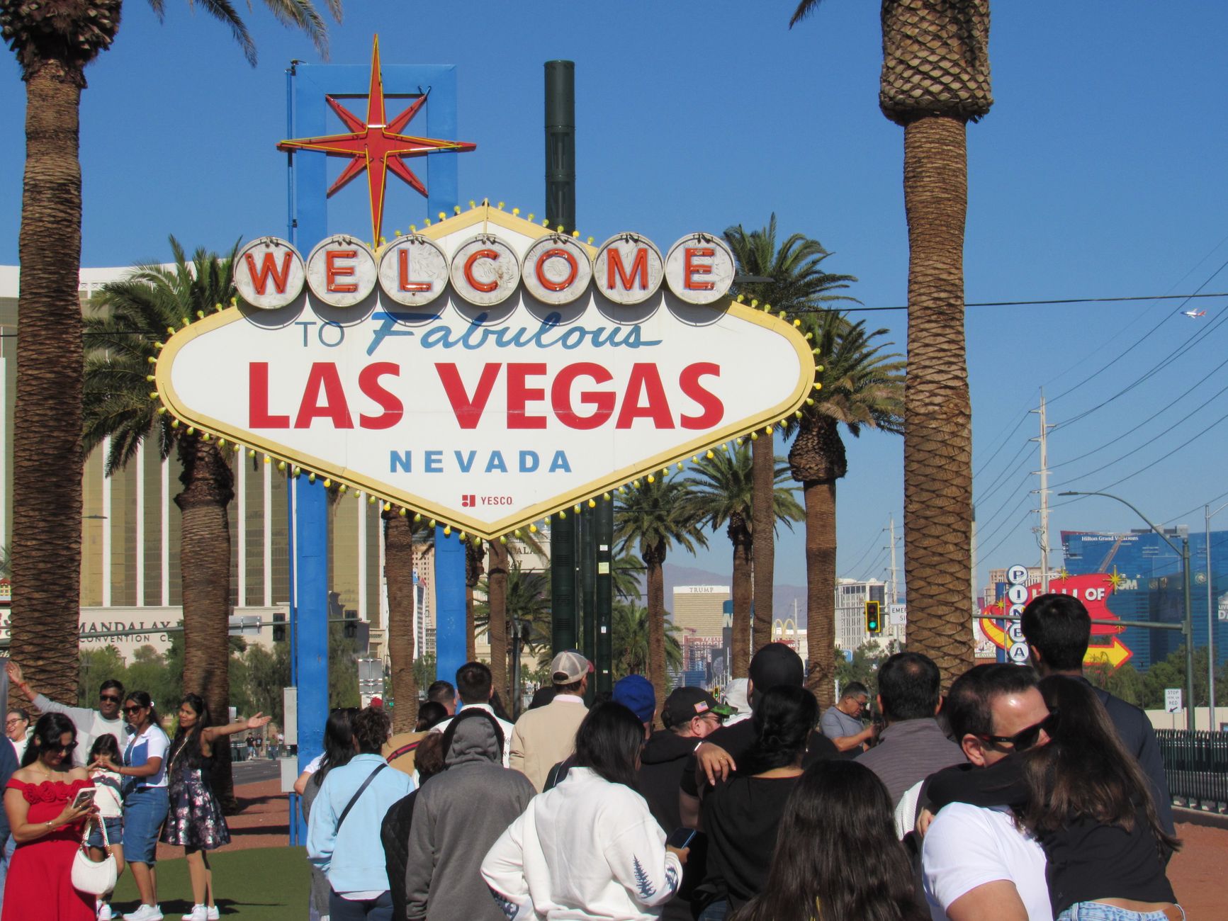 Married Vegas Scams: How Asked Money Fueled a Fraud Case