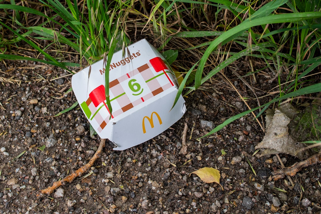 McDonald’s Dividend Rises Despite Franchisee Struggles