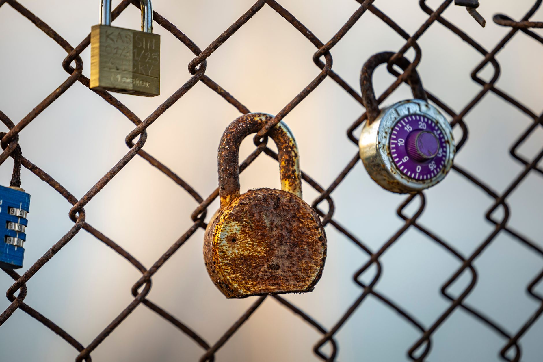Mortgage Monitor: Lock-In Effect Spurs Equity Lending