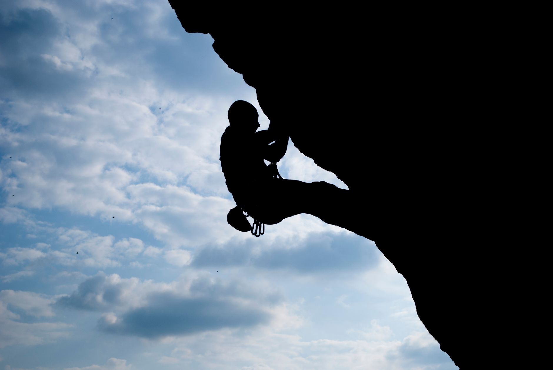 Much Higher Climb From Here? Wall Street Analysts Speak