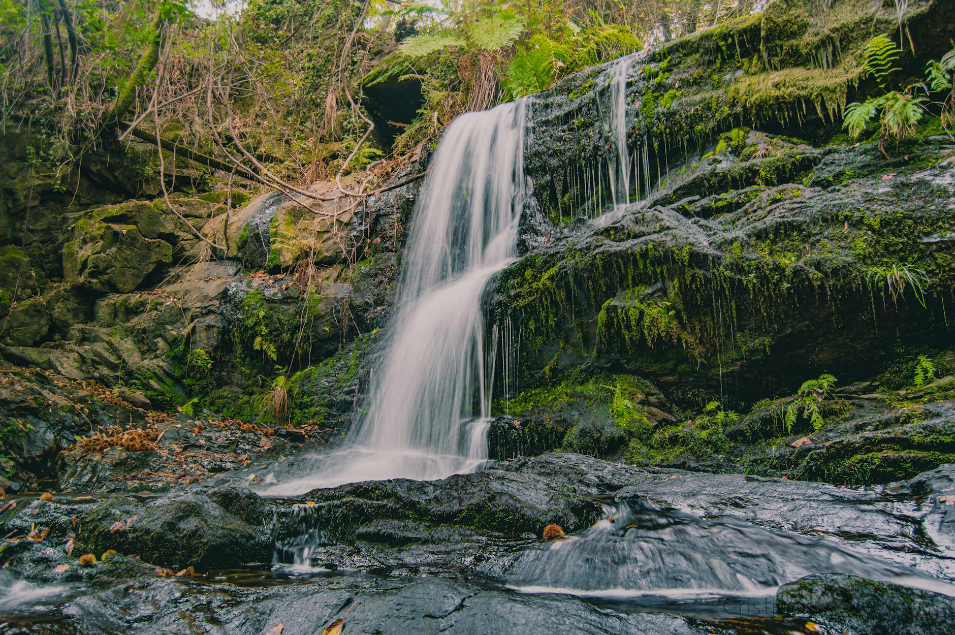 Navan Stock Down From IPO: New $274M Stake Signals Conviction