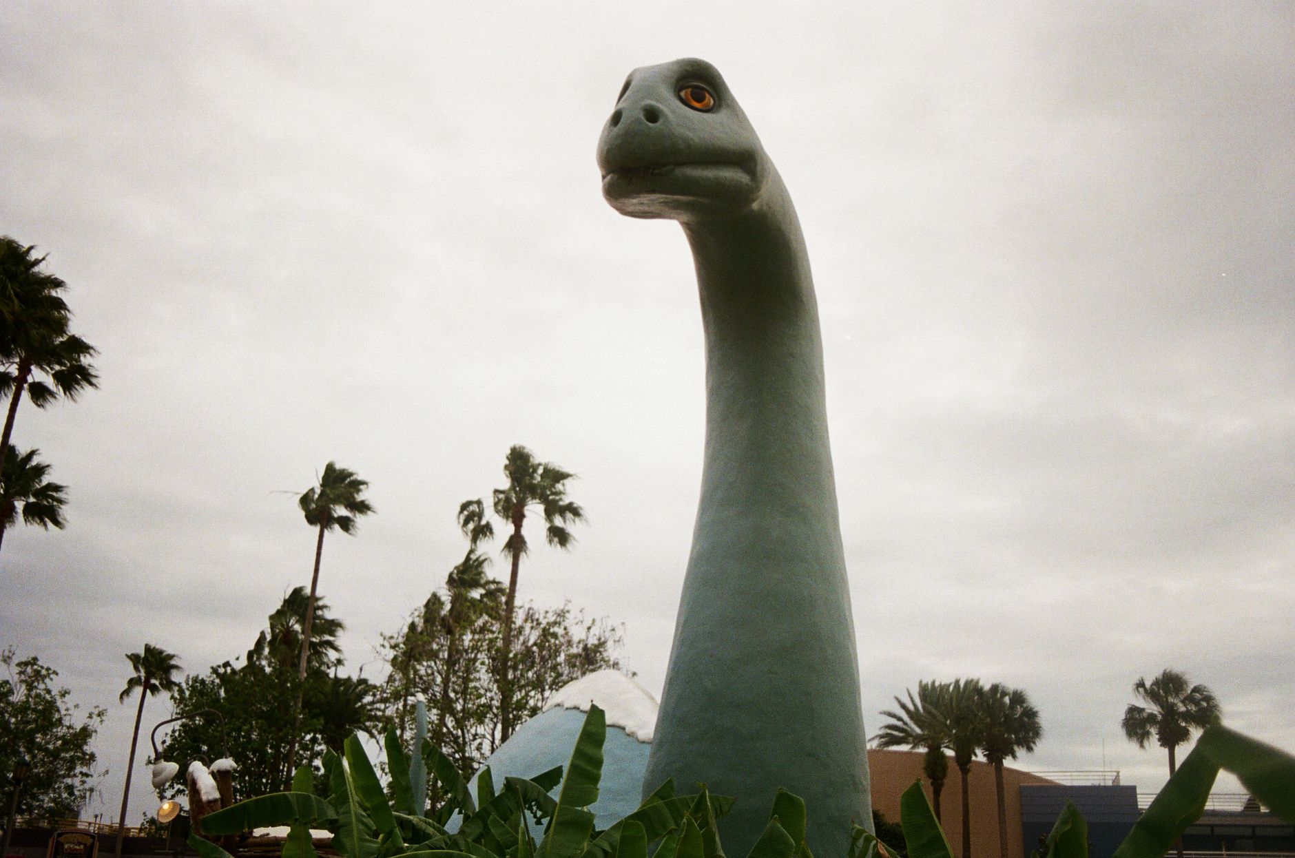 Neill, ‘Jurassic Park’ Star: A Financial Wake-Up Call