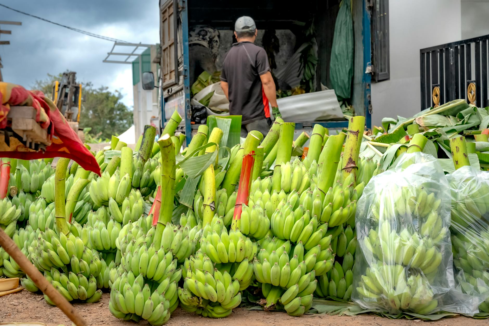 Nike's Most Important Question: Margin Recovery 2026