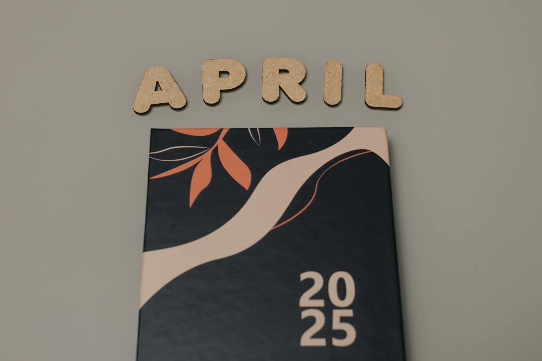 Nova Stock Year, What Investors Should Know About 80% Rise